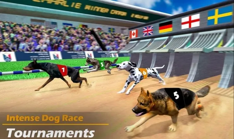 Đồ họa game nhanh Đua Chó tại SA88 thiết kế đẹp, ấn tượng